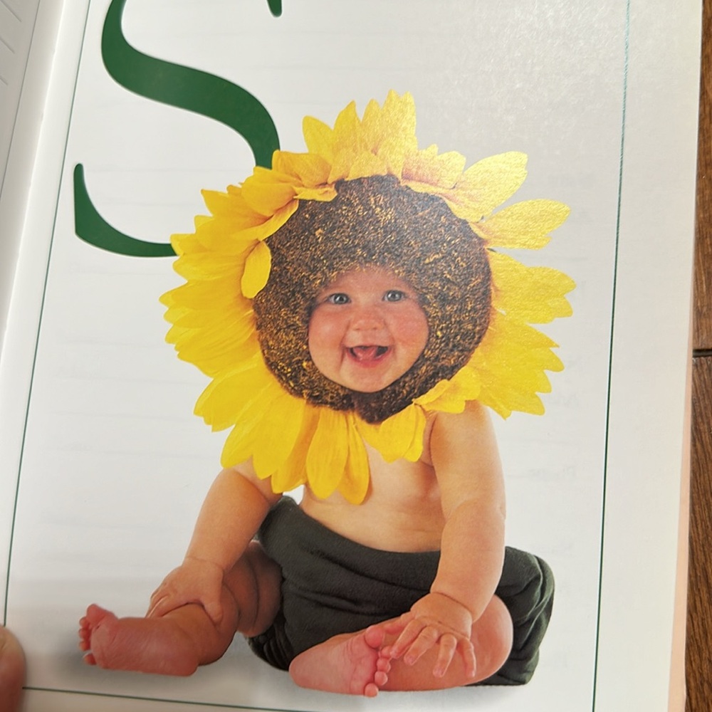 Anne Geddes vintage Journal Down in the Garden 1997 and Address book 1994 bundle - Picture 6 of 6